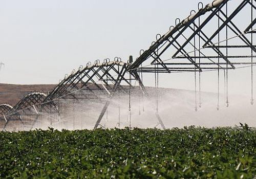 DAP’tan Doğu Anadolu’ya 12 Yılda 13,4 Milyar Liralık Destek