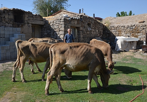 Devlet desteğiyle besicilik yapan eski hükümlü geleceğe umutla bakıyor