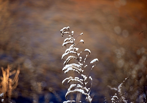 Doğu Anadolu'da gece en düşük sıcaklık Ardahan'da ölçüldü