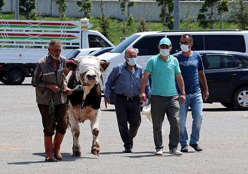 Doğu Anadolu'daki hayvan pazarlarında bayramın ilk gününde de hareketlilik yaşanıyor