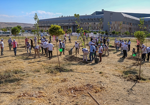 Edremit'te fidanlar toprakla buluştu