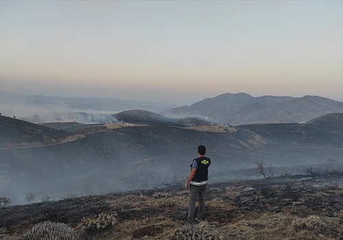 Elazığ'da çıkan örtü yangını kontrol altına alındı