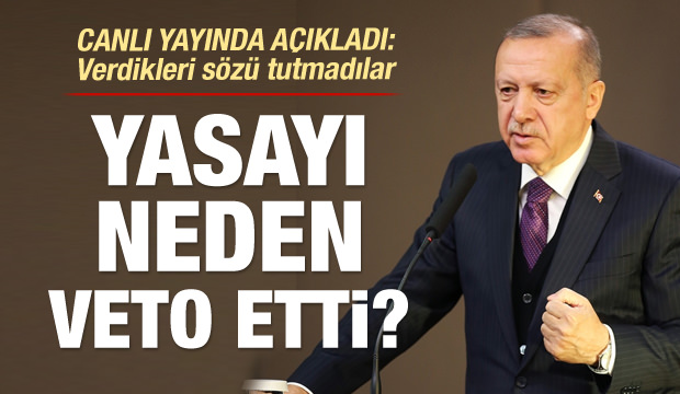 Erdoğan neden veto ettiğini açıkladı