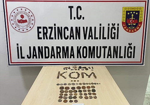 Erzincan'da 116 tarihi eser ele geçirildi, bir şüpheli yakalandı