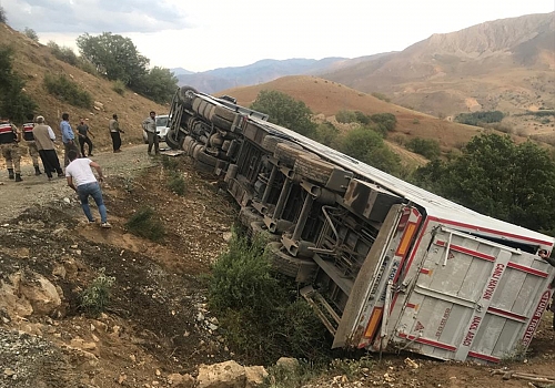 Erzincan'da şarampole devrilen tırdaki 3 kişi yaralandı, yaklaşık 150 küçükbaş hayvan telef oldu