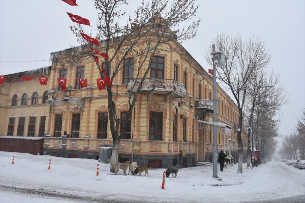 Erzurum, Ağrı, Ardahan, Iğdır ve Kars'ta 2 bin 222 yerleşimin yolu kardan kapandı
