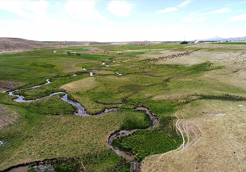 Erzurum'da kar sularının oluşturduğu menderesler büyülüyor