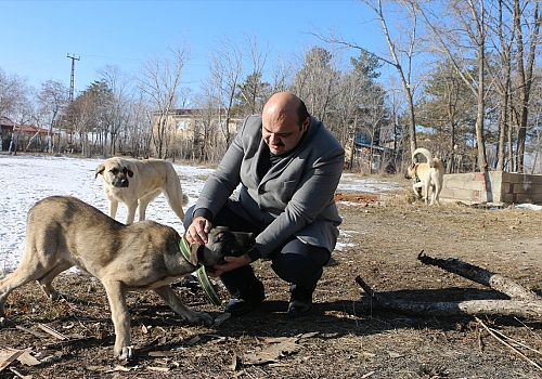 Erzurum'da kazanlar yabani hayvanlar için kaynadı