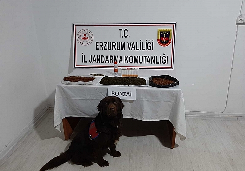 Erzurum'da uyuşturucu operasyonlarında yakalanan 3 zanlı tutuklandı