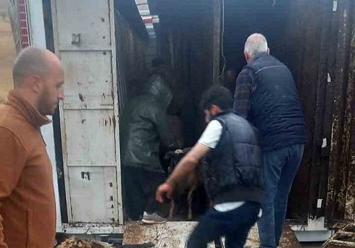 Erzurum’da Yürekleri Ağza Getiren TIR Kazası: 1 Çocuk, 1 Kadın Yaralı