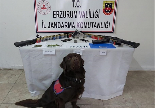 Erzurum'daki uyuşturucu operasyonunda bir kişi tutuklandı