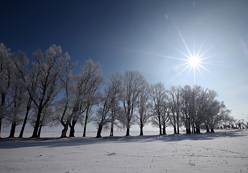 Erzurum ile Ardahan'da kış çilesi ve doğal güzellikler bir arada