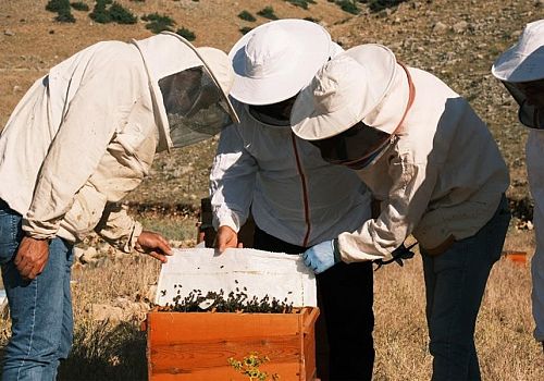 Erzurum Tarım Müdürü Kenger: Erzurum Arıcılıkta Büyük Bir Potansiyele Sahip