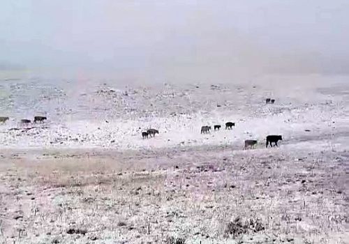 Erzurum’un İspir İlçesinde Yedigöller’e Mevsimin İlk Karı Düştü