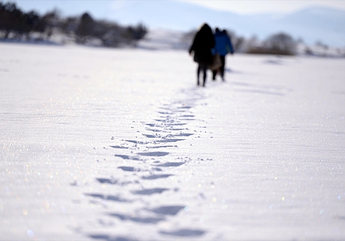 Erzurum ve Kars'ta 46 yerleşim yerine ulaşım sağlanamıyor