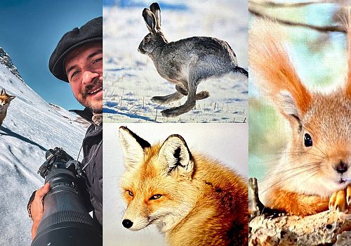 Fotoğrafçı Alper Tüydeş’in Objektifinden Kars ve Ardahan’da Yaban Hayatı