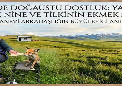 Göle de doğaüstü dostluk: Yaylada Sadriye nine ve tilkinin ekmek sohbeti