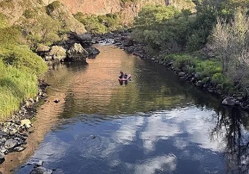 Göle de  Kura Nehri'nde Balık Ölümleri İncelemesi