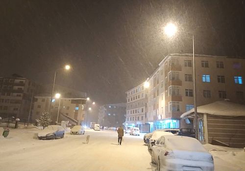 Göle’de Yoğun Kar Yağışı Hayatı Olumsuz Etkiliyor: Köy Yolları Ulaşıma Kapandı