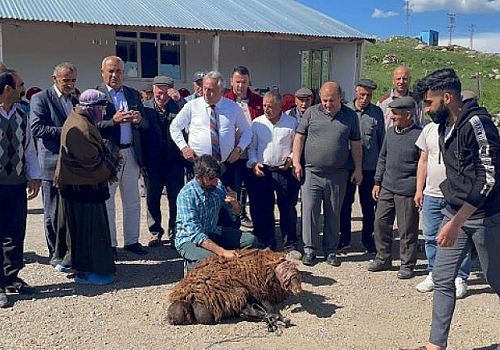 Göle den Posofa Atalay Sürgün Ettirdi İddiası 