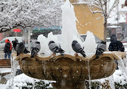 Göle Dondu -40'ı gördü