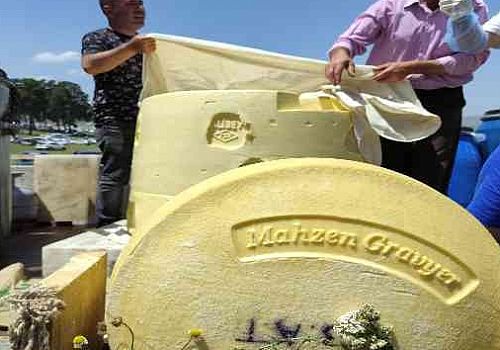 Göle Kültür ve Kaşar Festivali’nde 1 tonluk dev kaşar peyniri, ilgi odağı oldu.