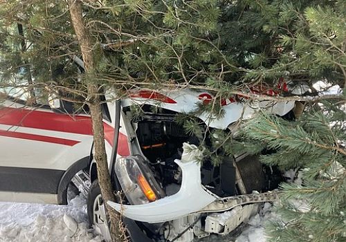 Hanak ta ağaçlara çarpan ambulanstaki 3 sağlık personeli yaralandı