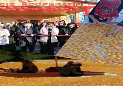 Iğdır'da Kadınların Kurduğu Ayyıldız Üretim Kooperatifi Yöresel Ürün Üretimini Başarıyla Sürdürüyor 