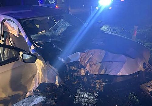 Isparta'nın Gönen ilçesinde, ağaca çarpan otomobildeki 1 kişi hayatını kaybetti, 2 kişi yaralandı