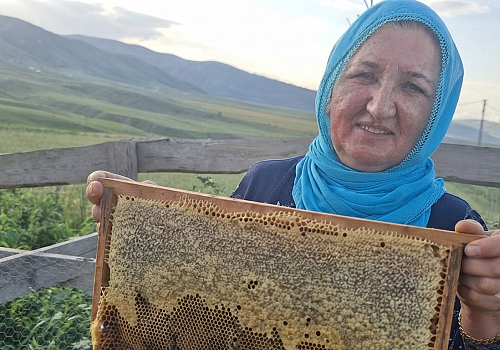 İstanbul ve Ardahan'dan Gönüllere Taht Kuracak Proje: Göleli Kadınlardan Doğal Yayla Balı