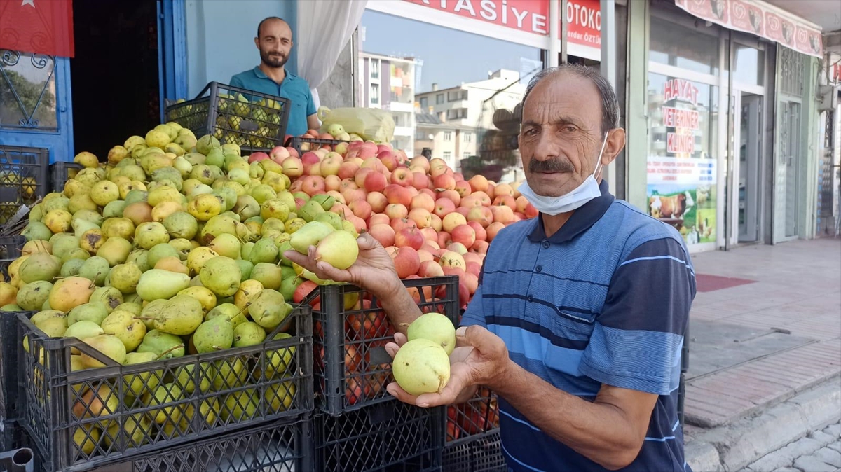 Kağızman armudu tezgaha indi