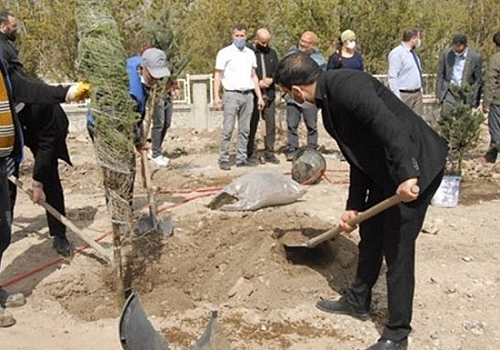 Kağızman'daki İzzet Aras Camisi bahçesine 350 fidan dikildi