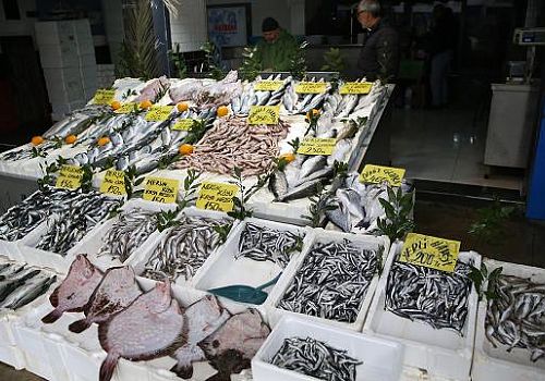 Karadeniz de Balıkçılar beklentilerinin üzerinde geçen sezonun mutlu yorgunluğunu yaşıyor