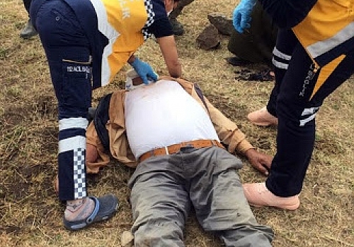 Kars'ta at arabası devrildi: 1 yaralı