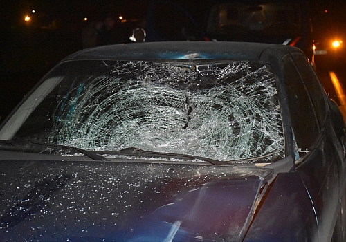 Kars'ta At Yola Çıktı Kazaya Neden Oldu 1 Yaralı 