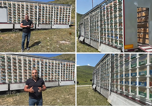 Kars’ta Bir İlk: Türkiye’nin En Büyük Mobil Arı Üretim Üssü Kuruldu