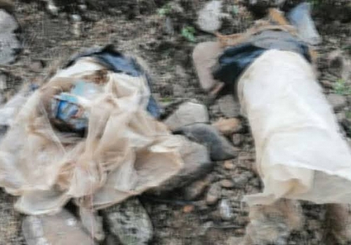 Kars'ta bulunan el yapımı patlayıcı imha edildi