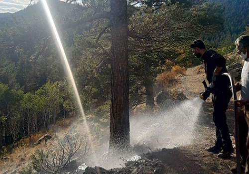 Kars'ta çıkan orman yangınında 1 hektarlık alan zarar gördü