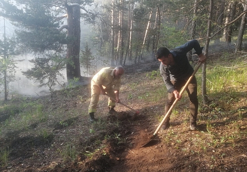 Kars'ta çıkan örtü yangınına ekipler müdahale ediyor