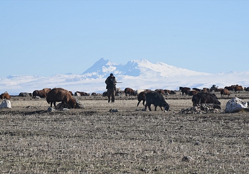 Kars'ta kar ve soğuk hava etkili oldu