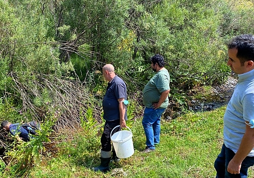 Kars'ta nesli tükenme tehlikesi altında olan kırmızı benekli alabalığın popülasyonu artırılacak