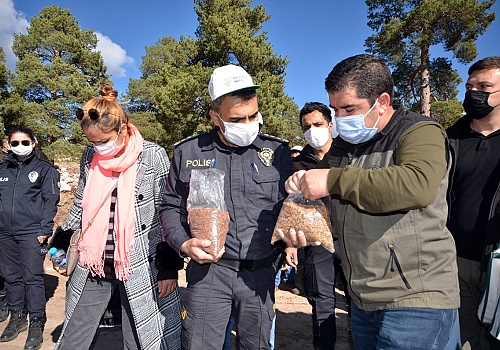 Kars'ta polis ve vatandaş el ele yaban hayatı için meyve tohumu ekti