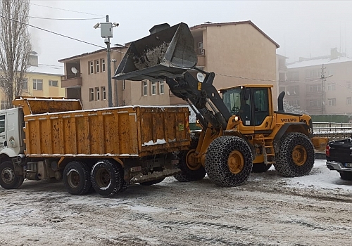 Kars'ta soğuk yüzünden erimeyen kar kamyonlara yüklenip yerleşim yeri dışına taşınıyor