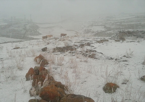 Kars'ta yüksek rakımdaki köyler beyaza büründü