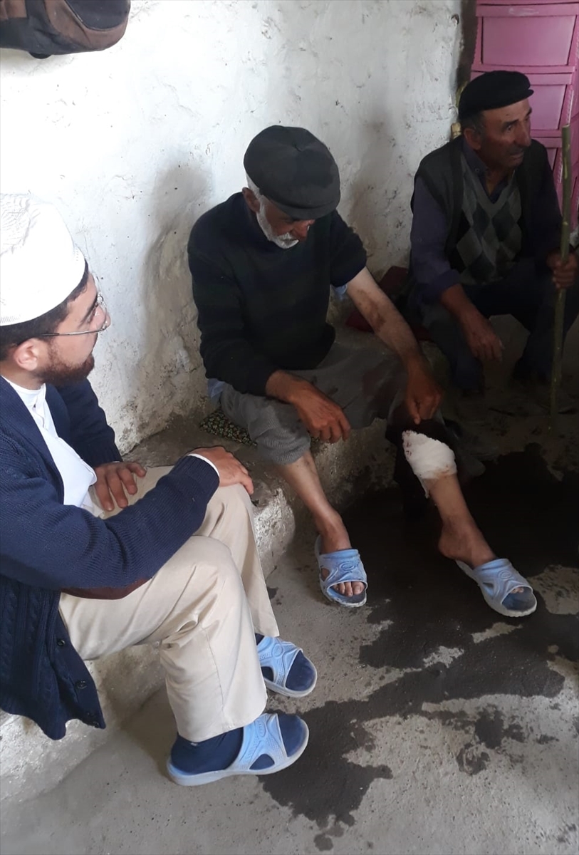 Kars'ta ayı saldırısına uğrayan kişi ağır yaralandı