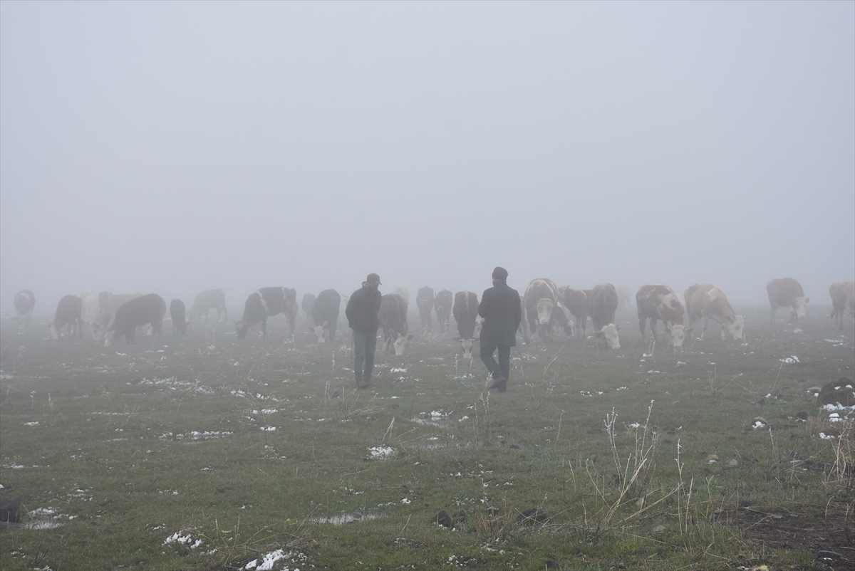 Kars'ta etkili olan kar güzel görüntüler oluşturdu