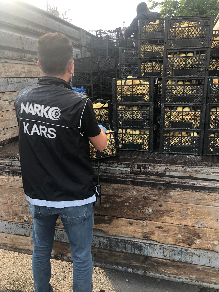 Kars'ta kayısıların arasında gizlenmiş uyuşturucu yakalandı