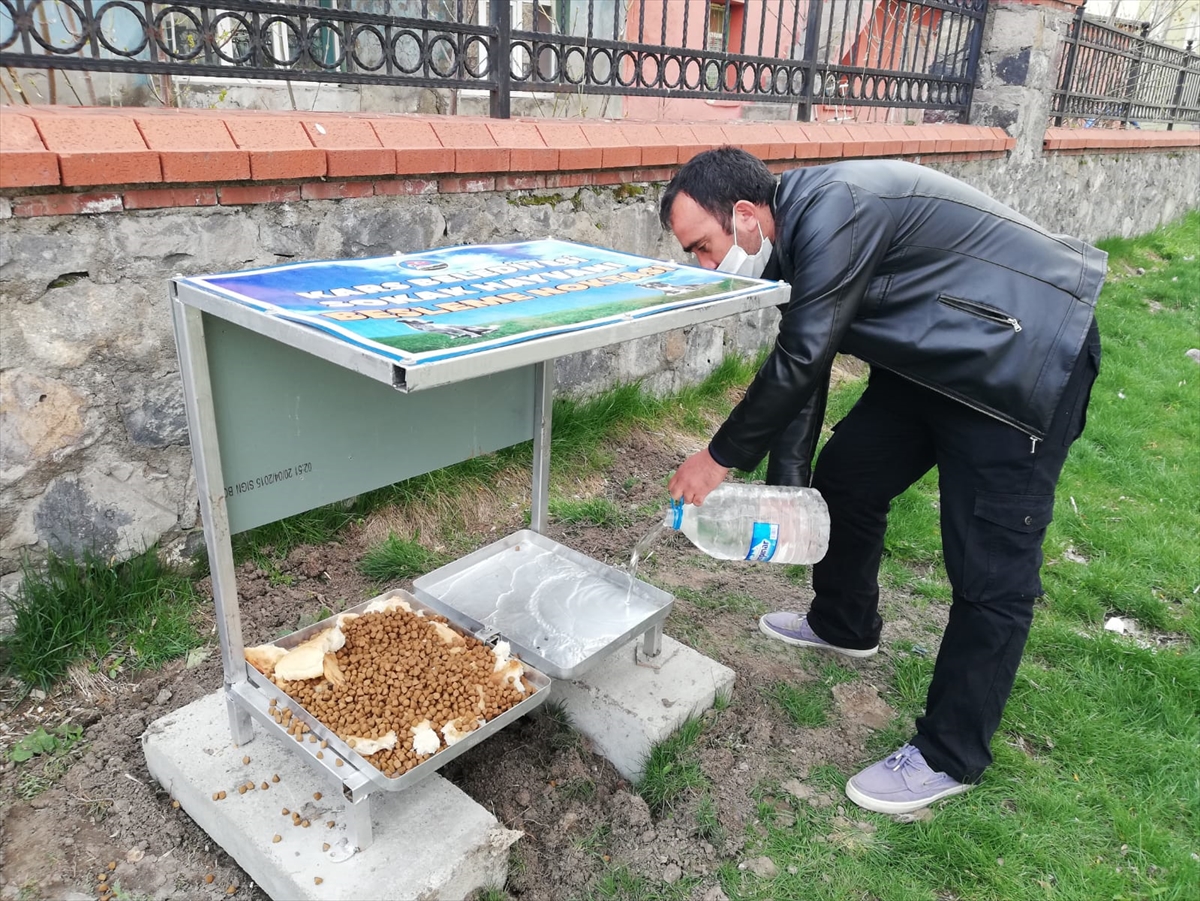Kars'ta sokak hayvanları için beslenme noktaları oluşturuldu