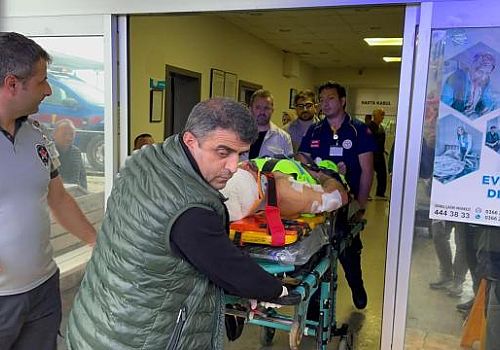 Kastamonu’da Ormanda Ayı Saldırısı: İmam Yaralı Kurtarıldı