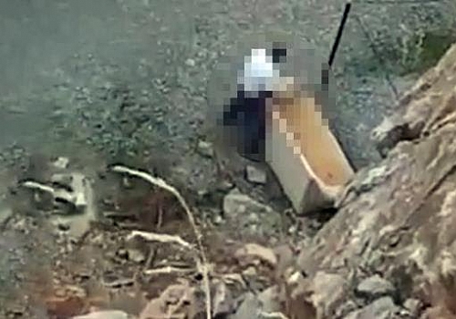 Köpeğe cinsel saldırı iddiasına gözaltı